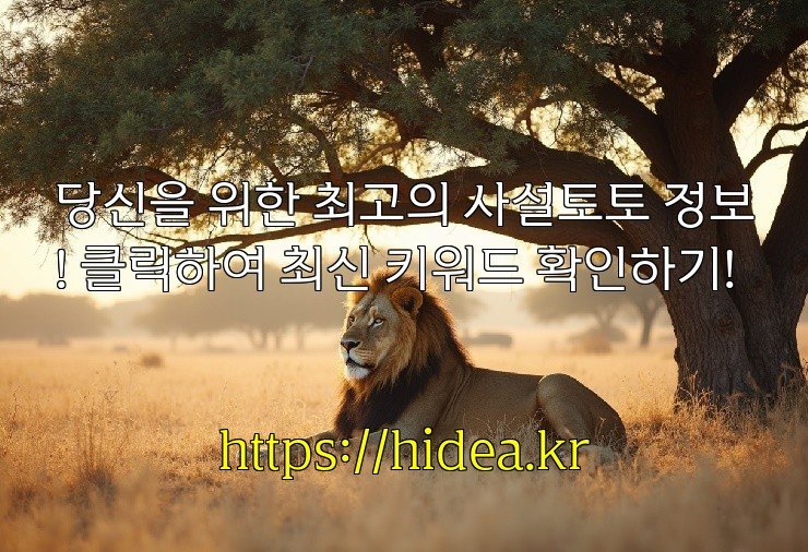 당신을 위한 최고의 사설토토 정보! 클릭하여 최신 키워드 확인하기!
